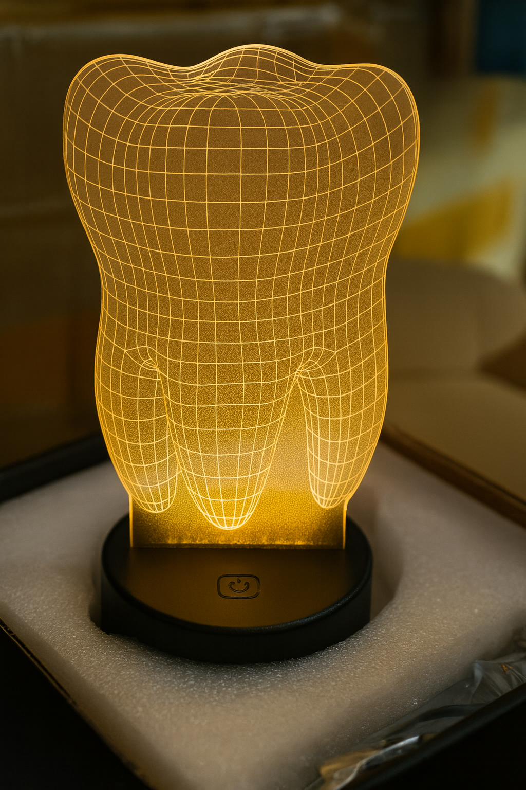 Valentines Day Gift Hands Holding Love 3D Night Light