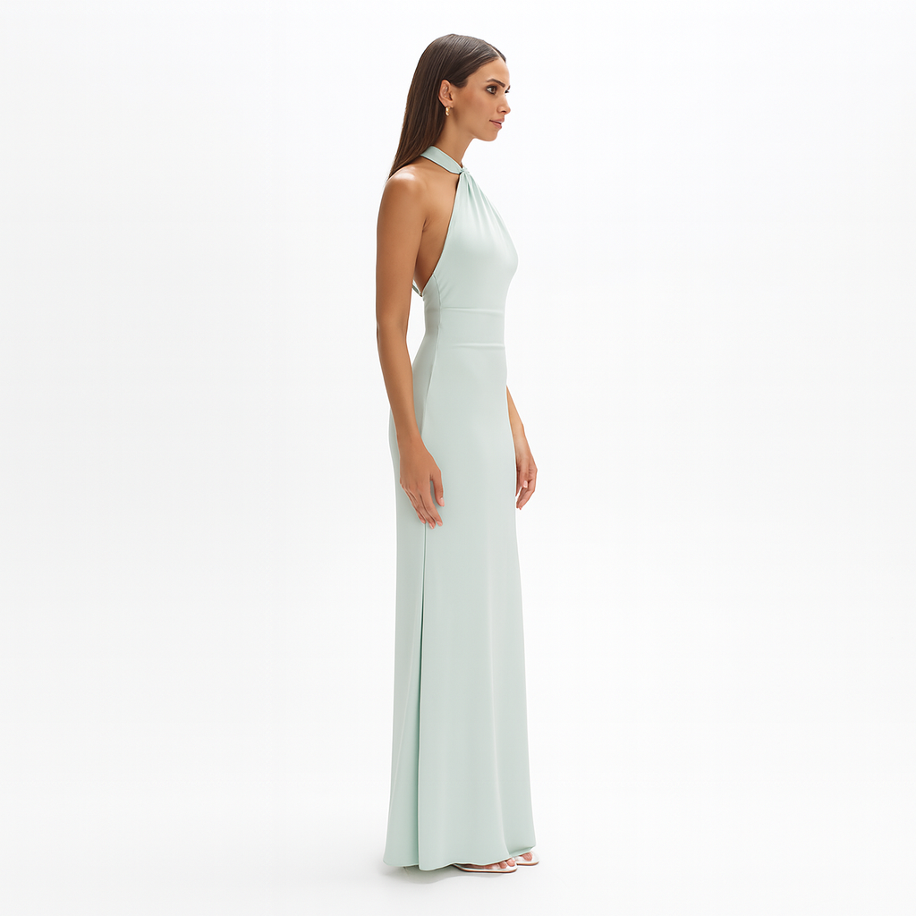Ins Bodycon Halter Dress Sexy Backless Slim Fit Waist Slimming Maxi Dresses Prom Party Club Clothing For Women
